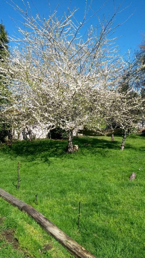 شقة Twin Pines Camino Norte Arzúa المظهر الخارجي الصورة